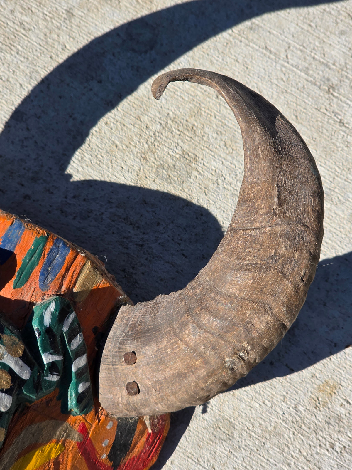 Vintage Guatemalan Diablo Devil Mask Set Real Horns Wood Folk Art Frog Lizard