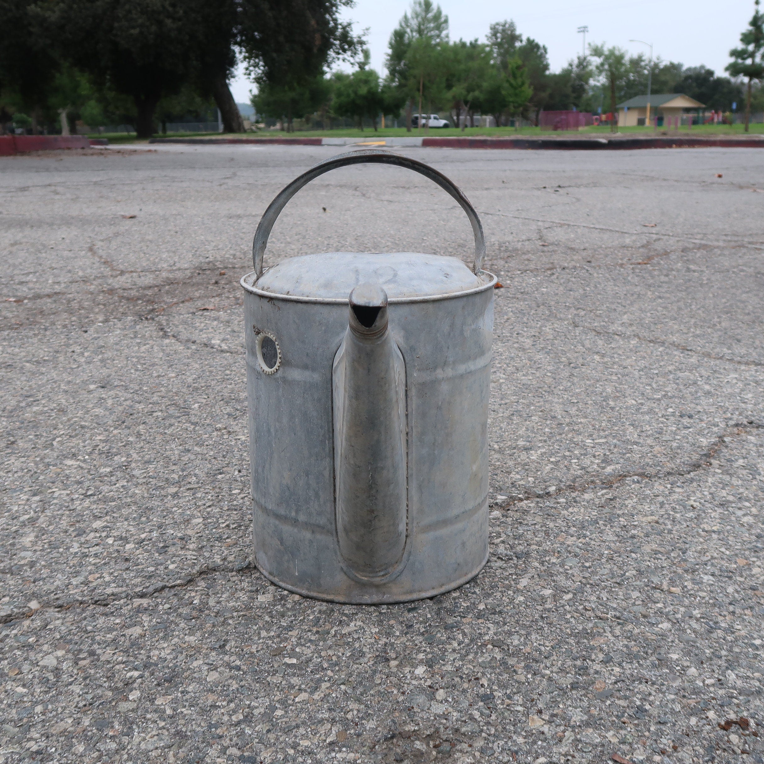 Vintage Savory Co. Galvanized Watering Can 2 Gal