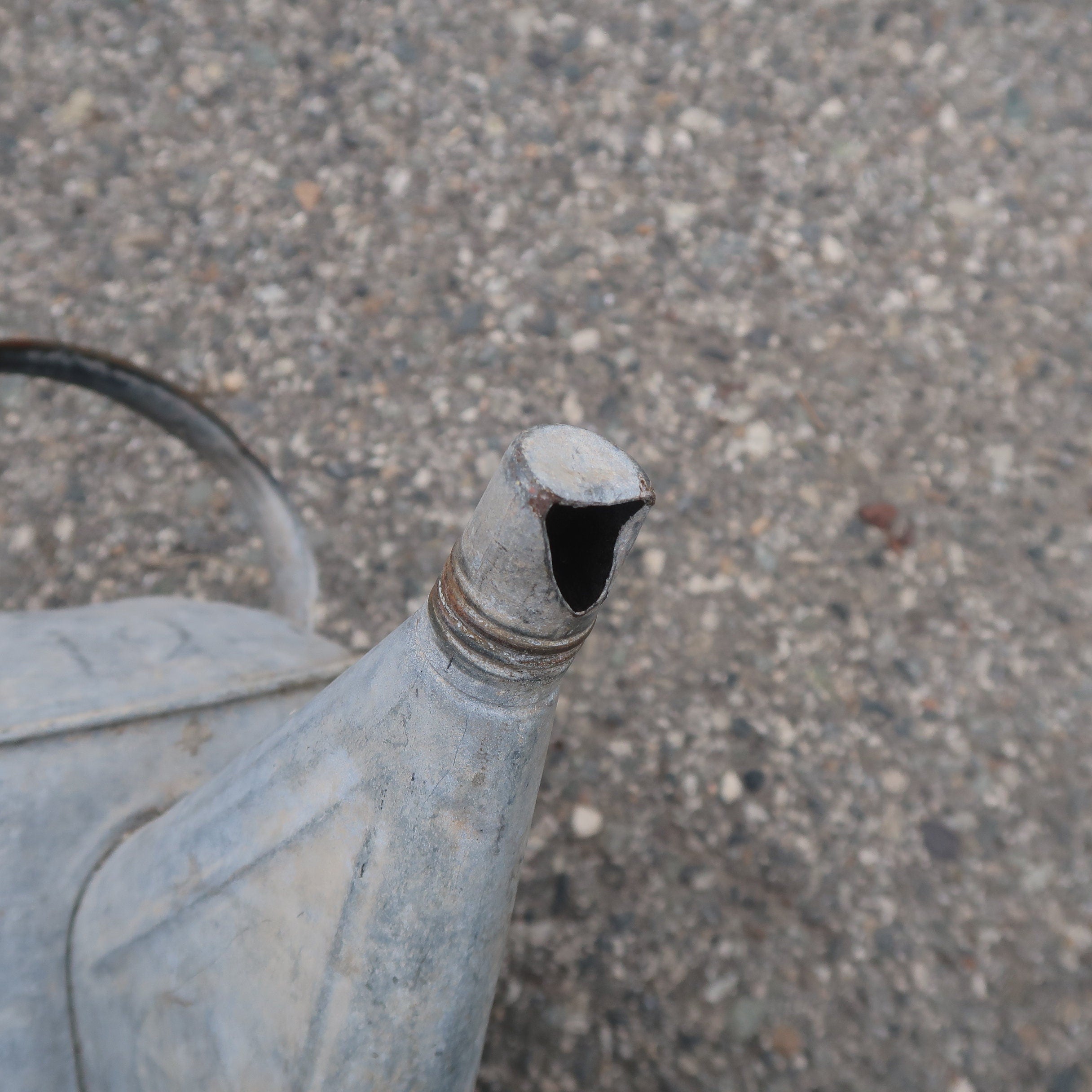 Vintage Savory Co. Galvanized Watering Can 2 Gal