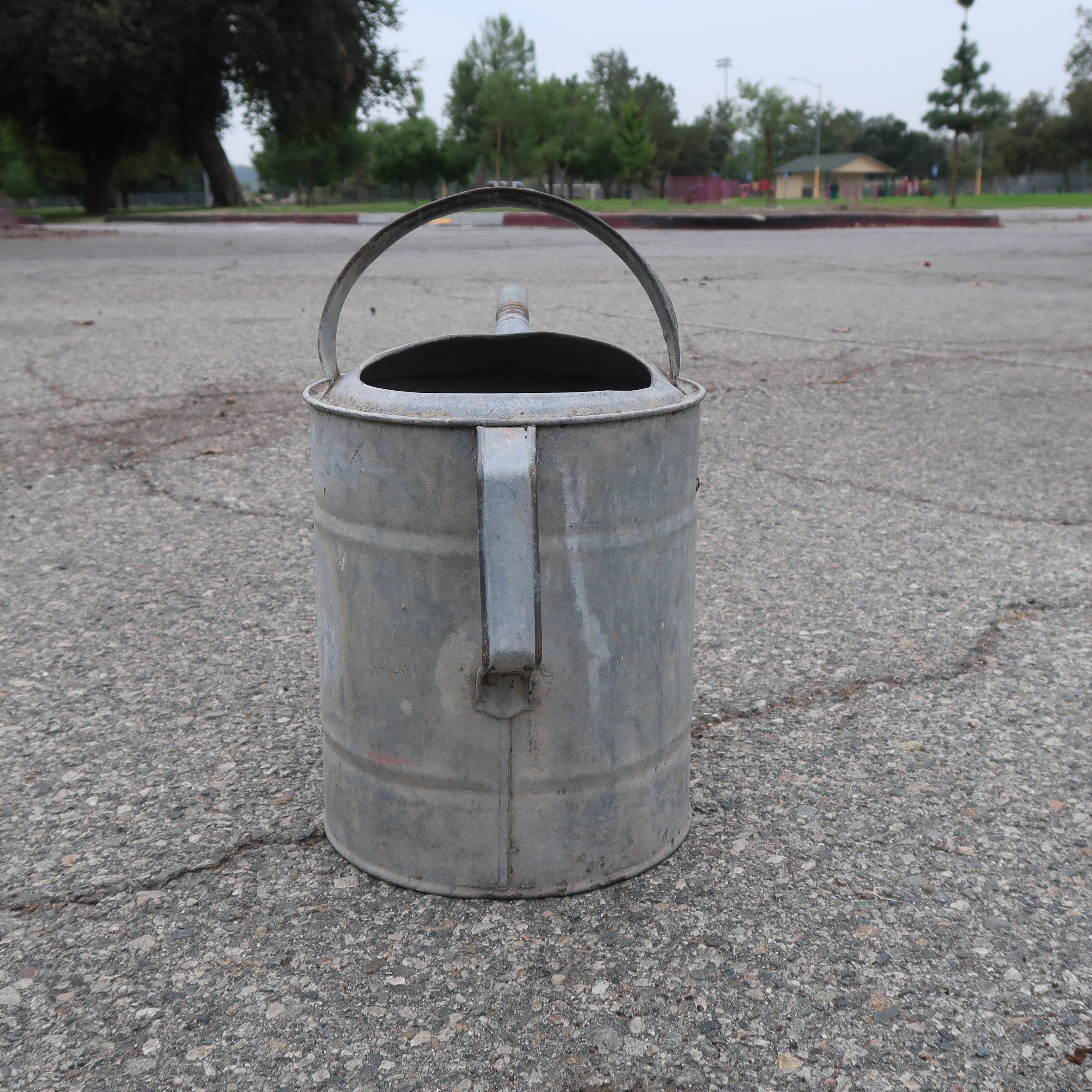 Vintage Savory Co. Galvanized Watering Can 2 Gal