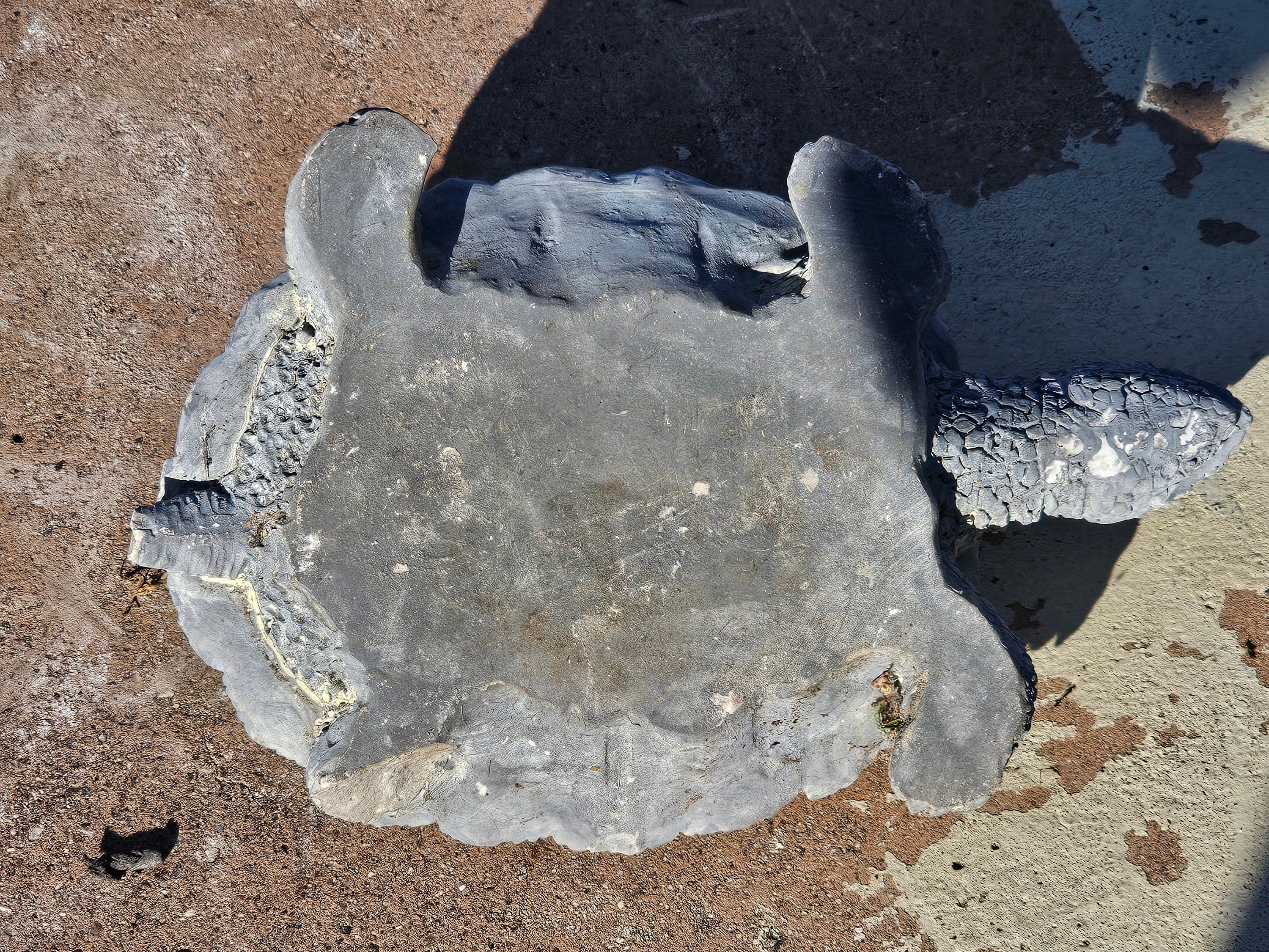 Set of 2 Plaster or Resin Tortoise Statue Outdoor Sculpture Home Lawn Patio Yard