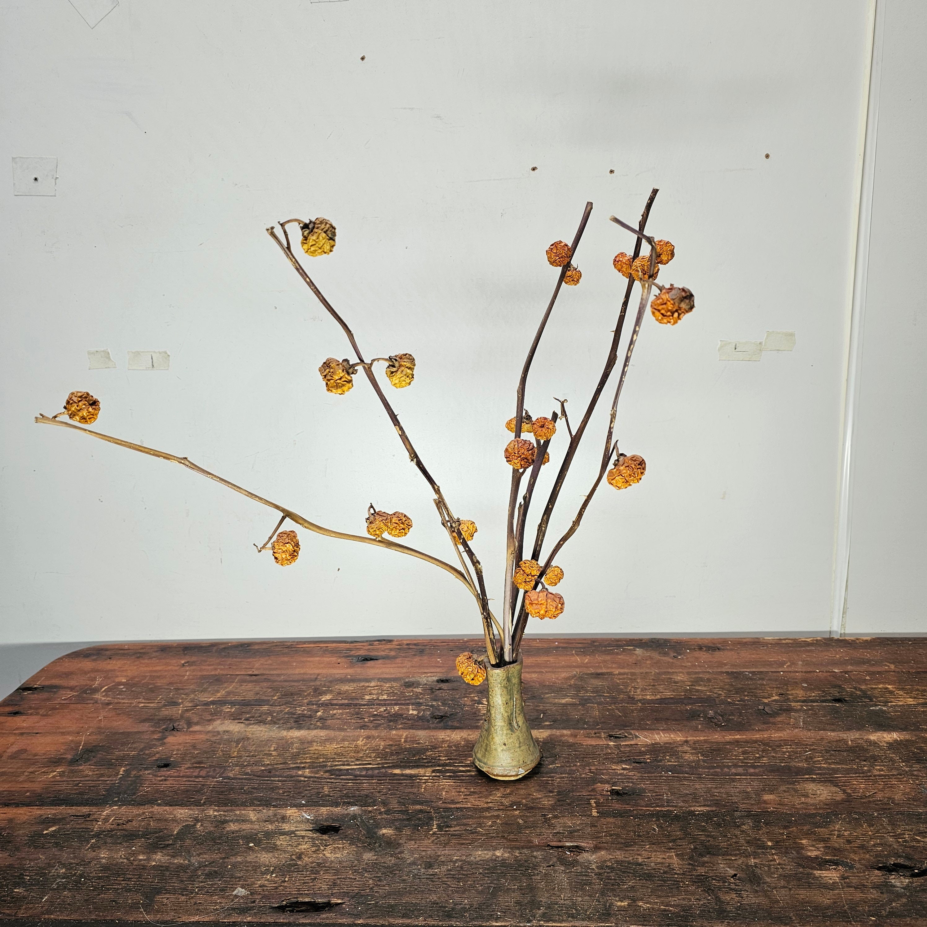 Dried Pumpkins On Sticks In A Singed Vase Asian Style Decoration