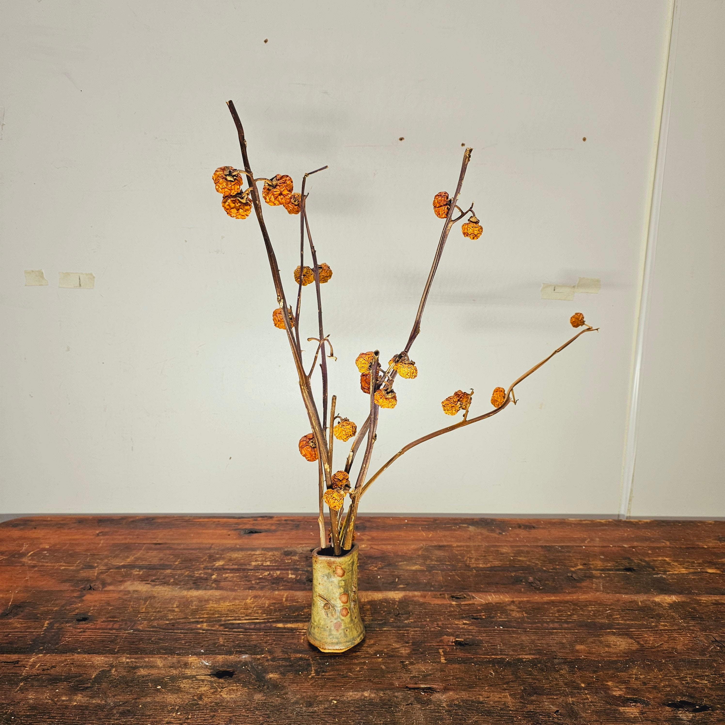 Dried Pumpkins On Sticks In A Singed Vase Asian Style Decoration