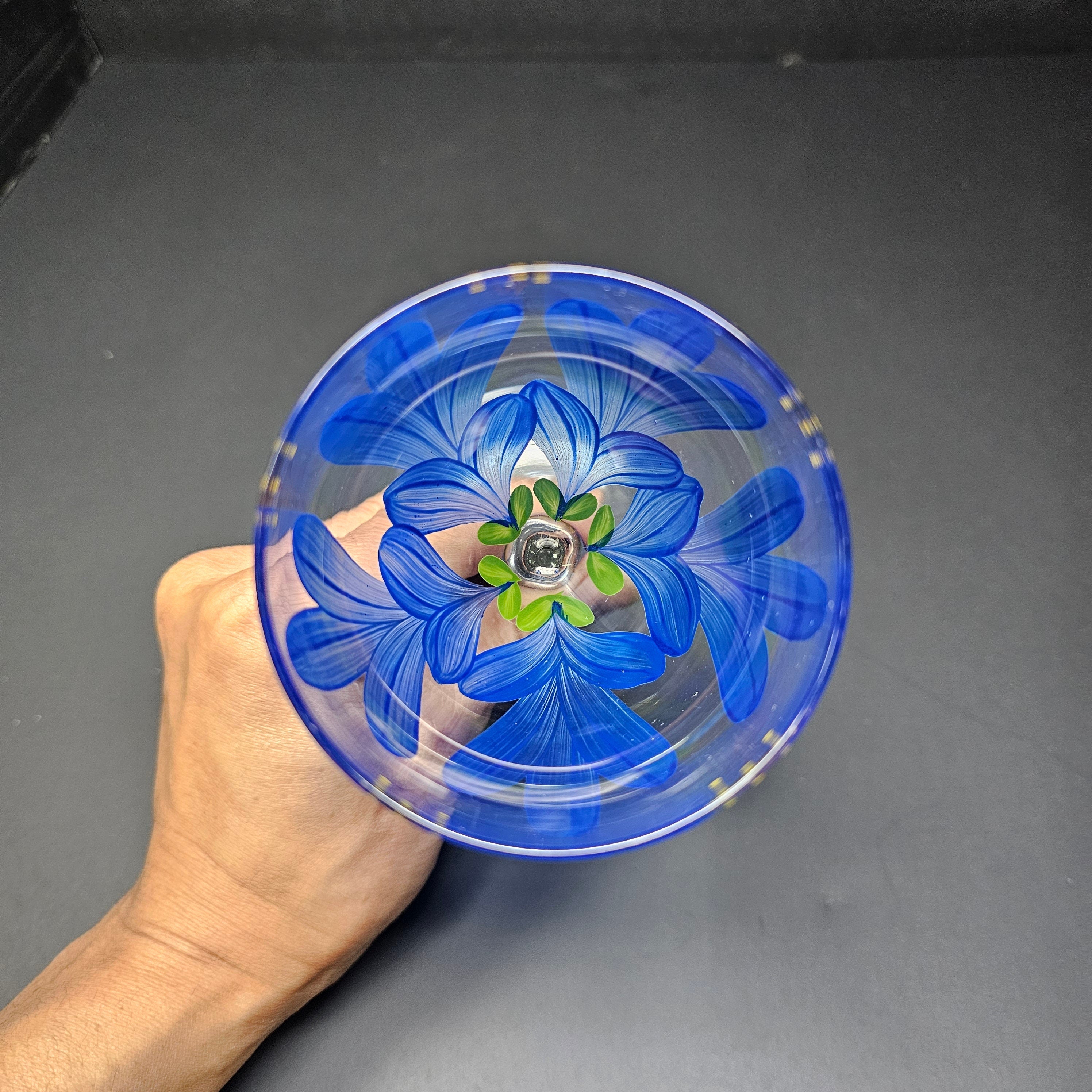 Hand Painted Wine Glass 8" H