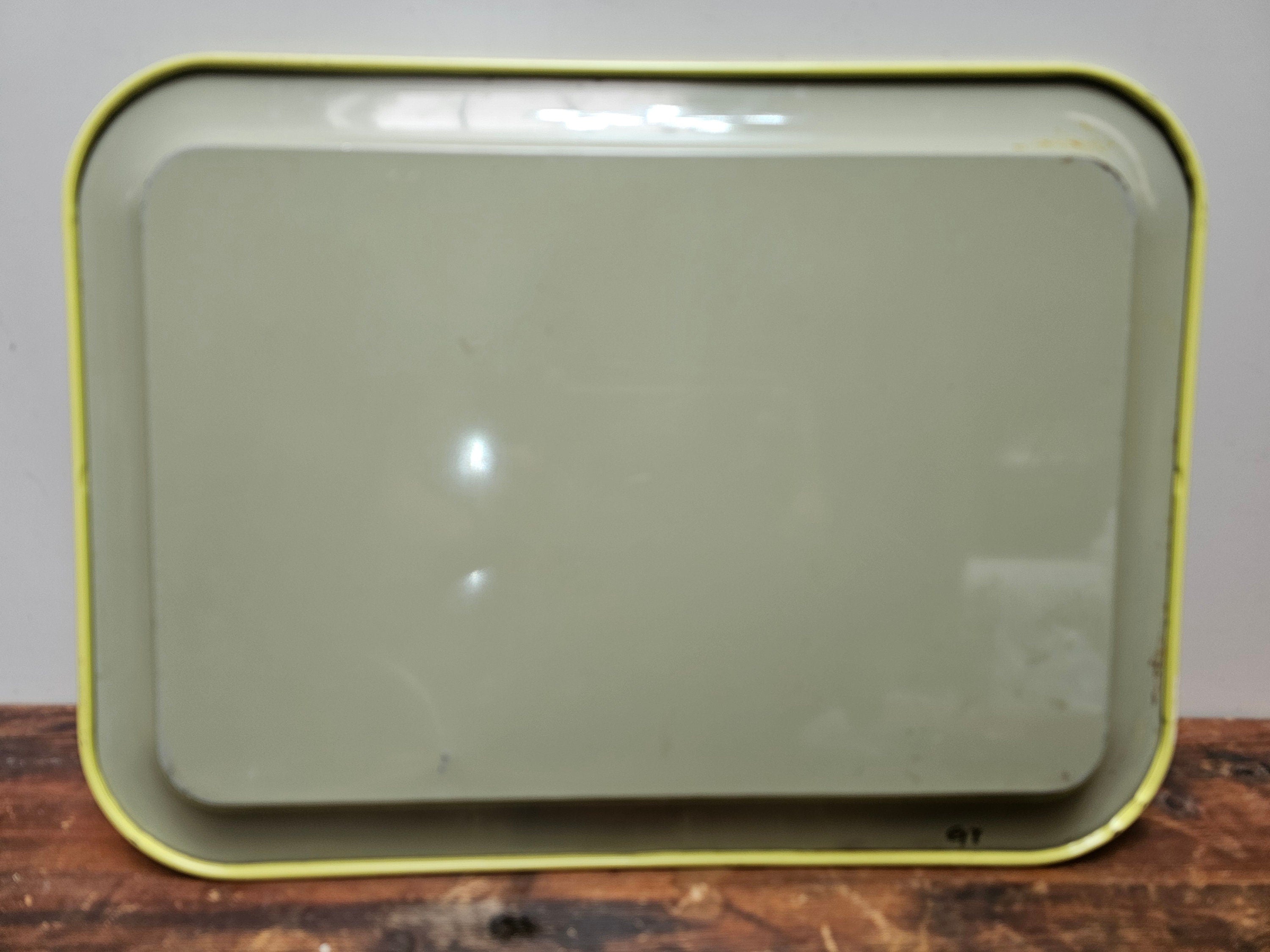 Set of 2 Vintage Fall Metal Serving Tray Made In Japan