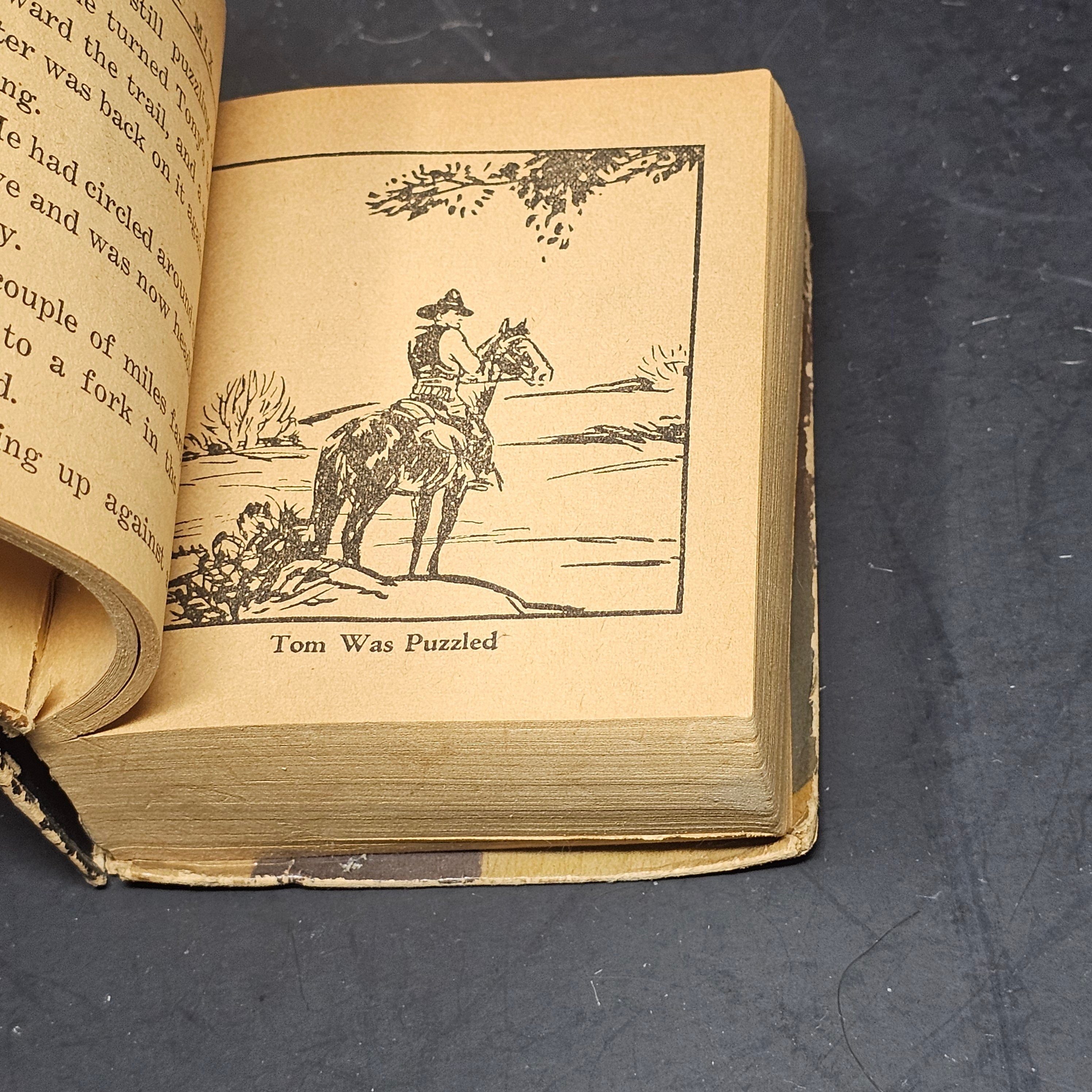 Vintage Big Little Book Tom Mix And The Stranger From The South 1183