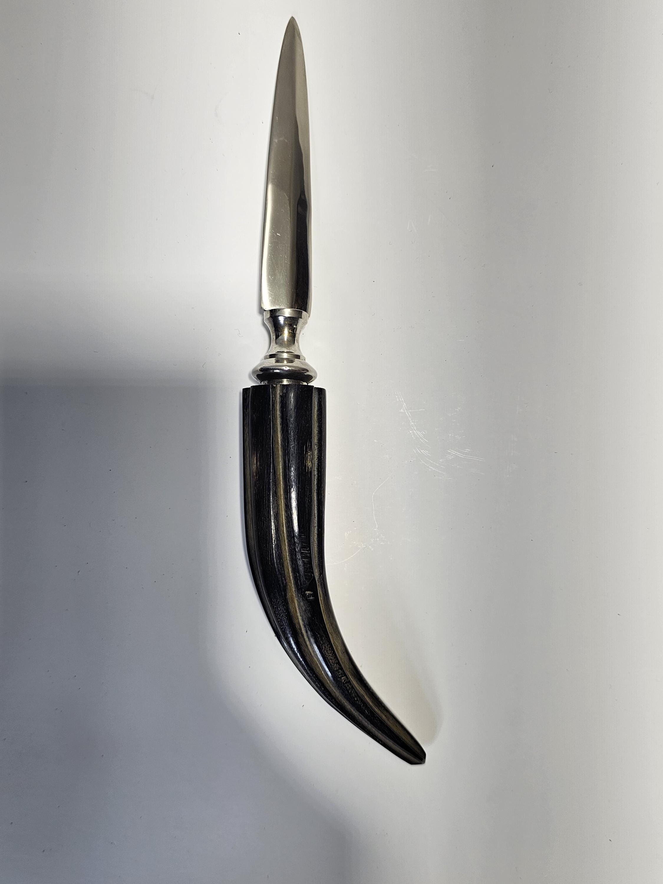 Faux Horn Handle Magnifying Glass & Letter Opener