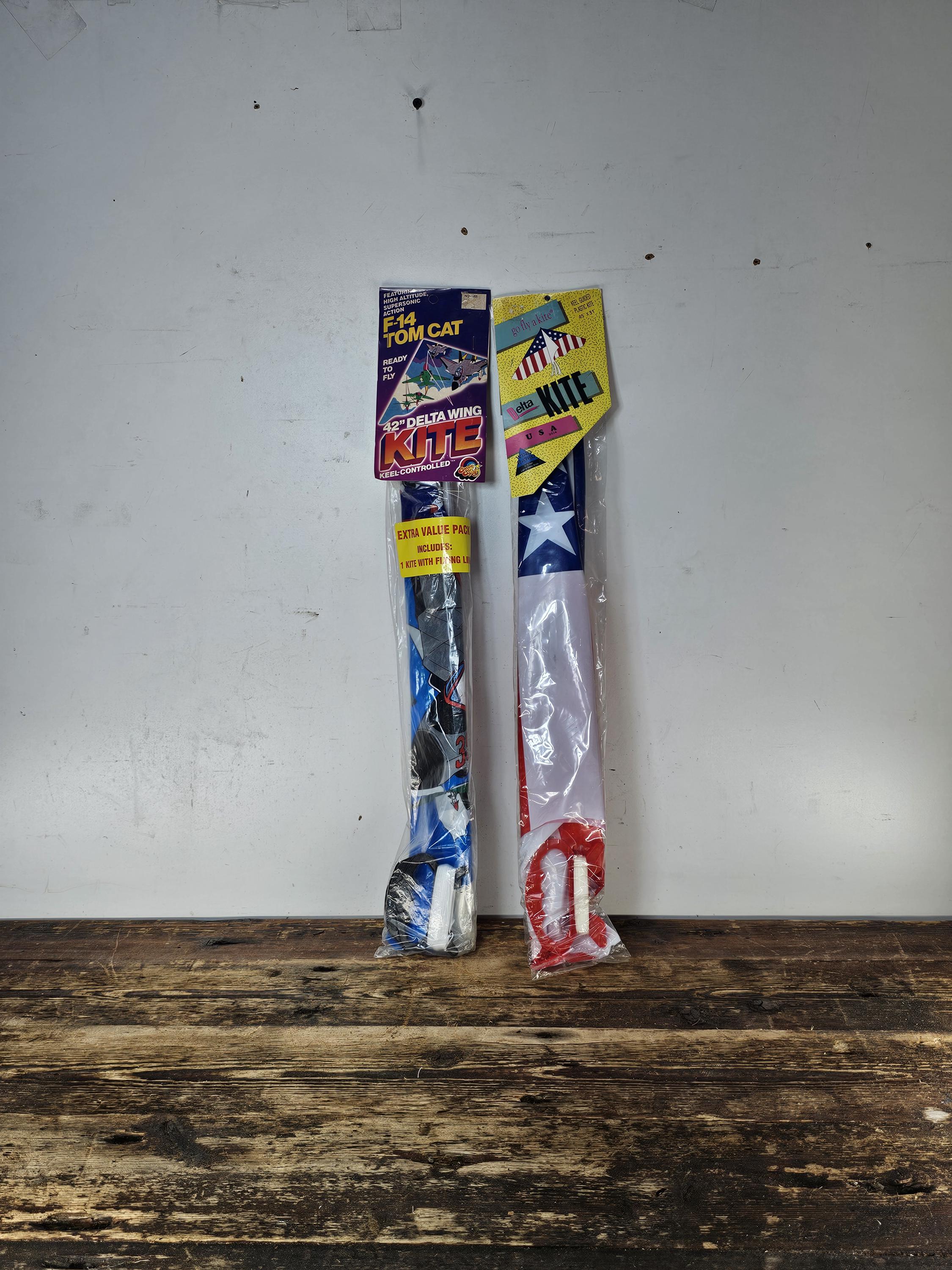 2 NOS Vintage 90s Spectra Star Kite & Go Fly A Kite Delta Wing