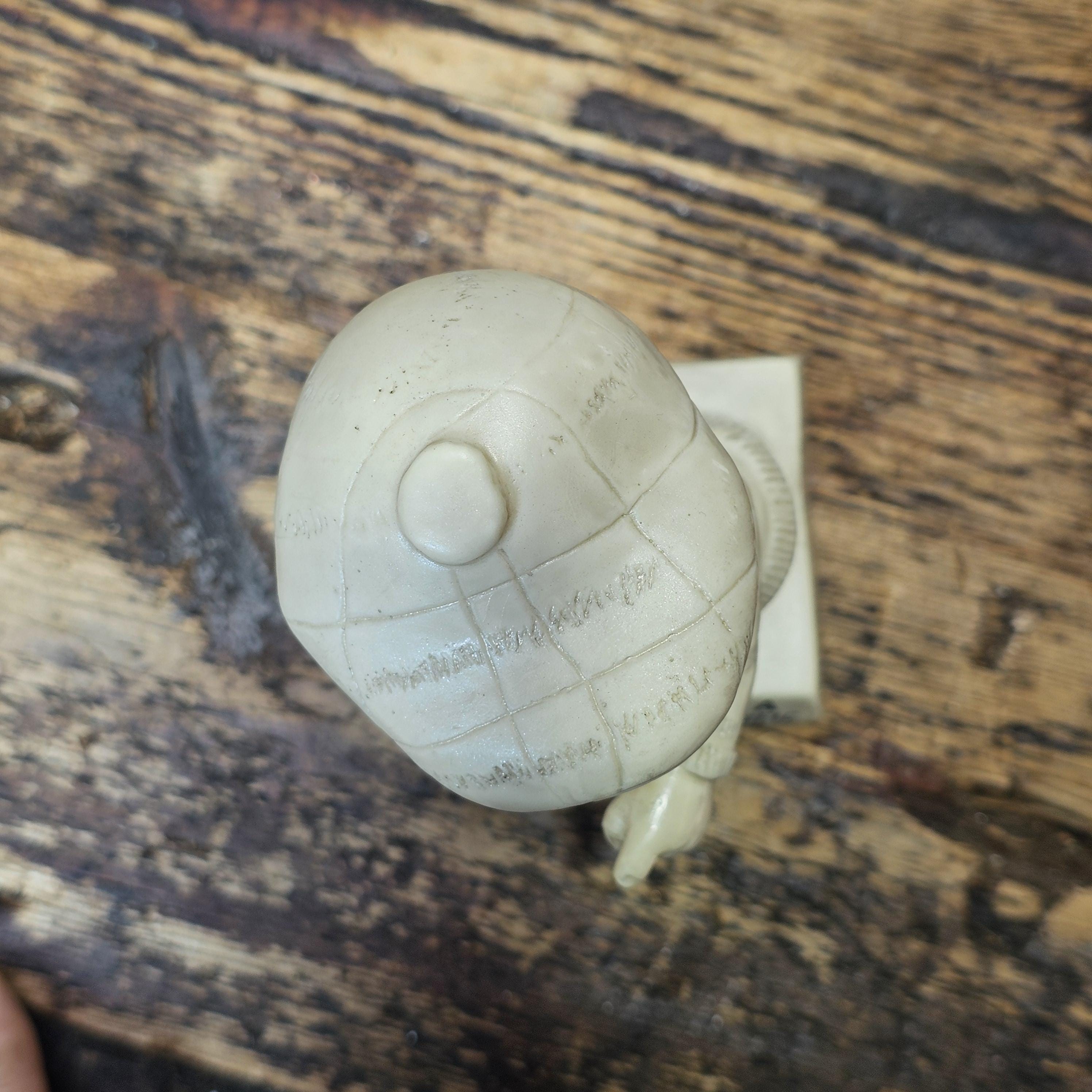 Vintage W&R BERRIES Co. "There's A Word For A Person Like You...TERRIFIC" 6.25"H