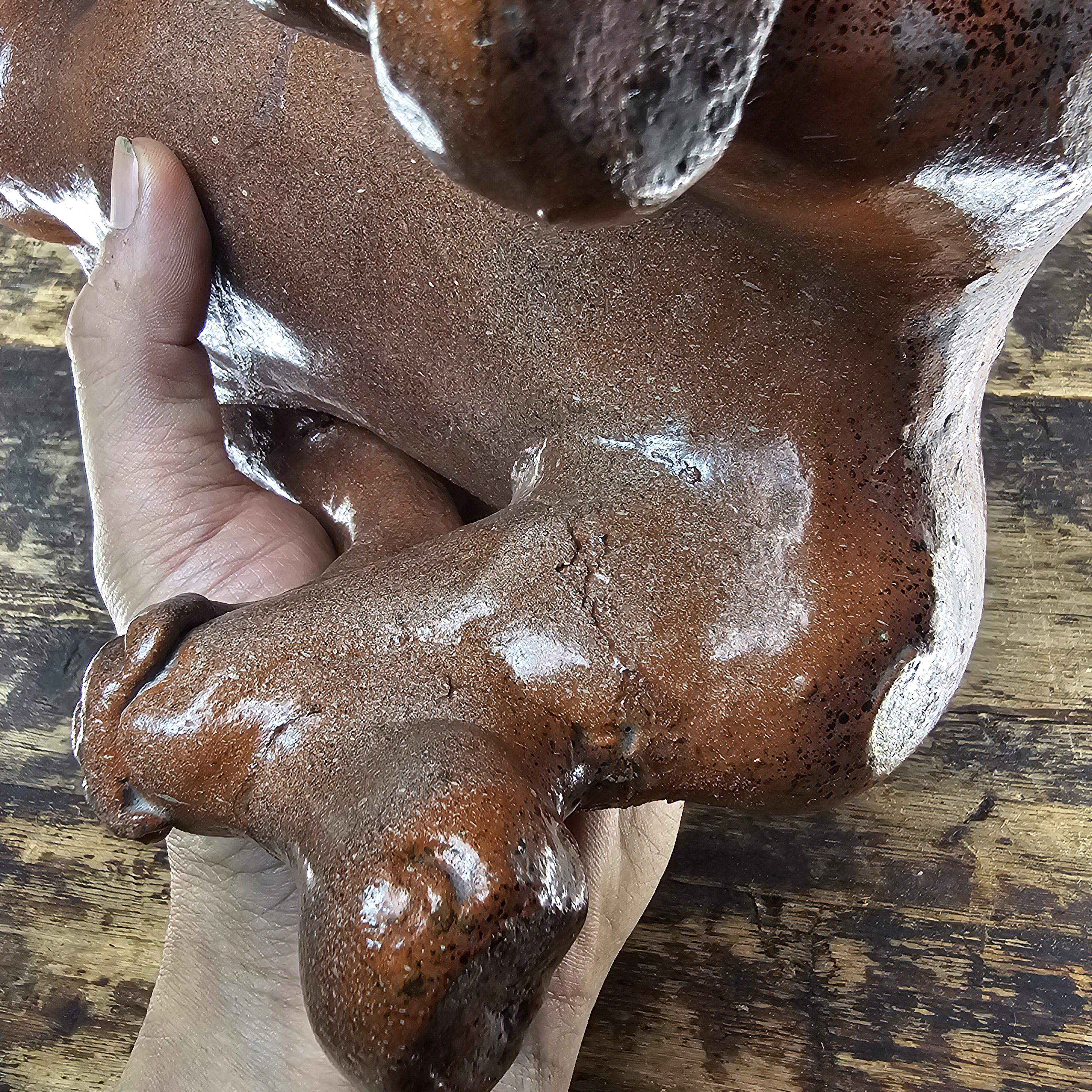 Mesoamerican Colima Warrior Effigy Heavy Terracotta 11.5"H