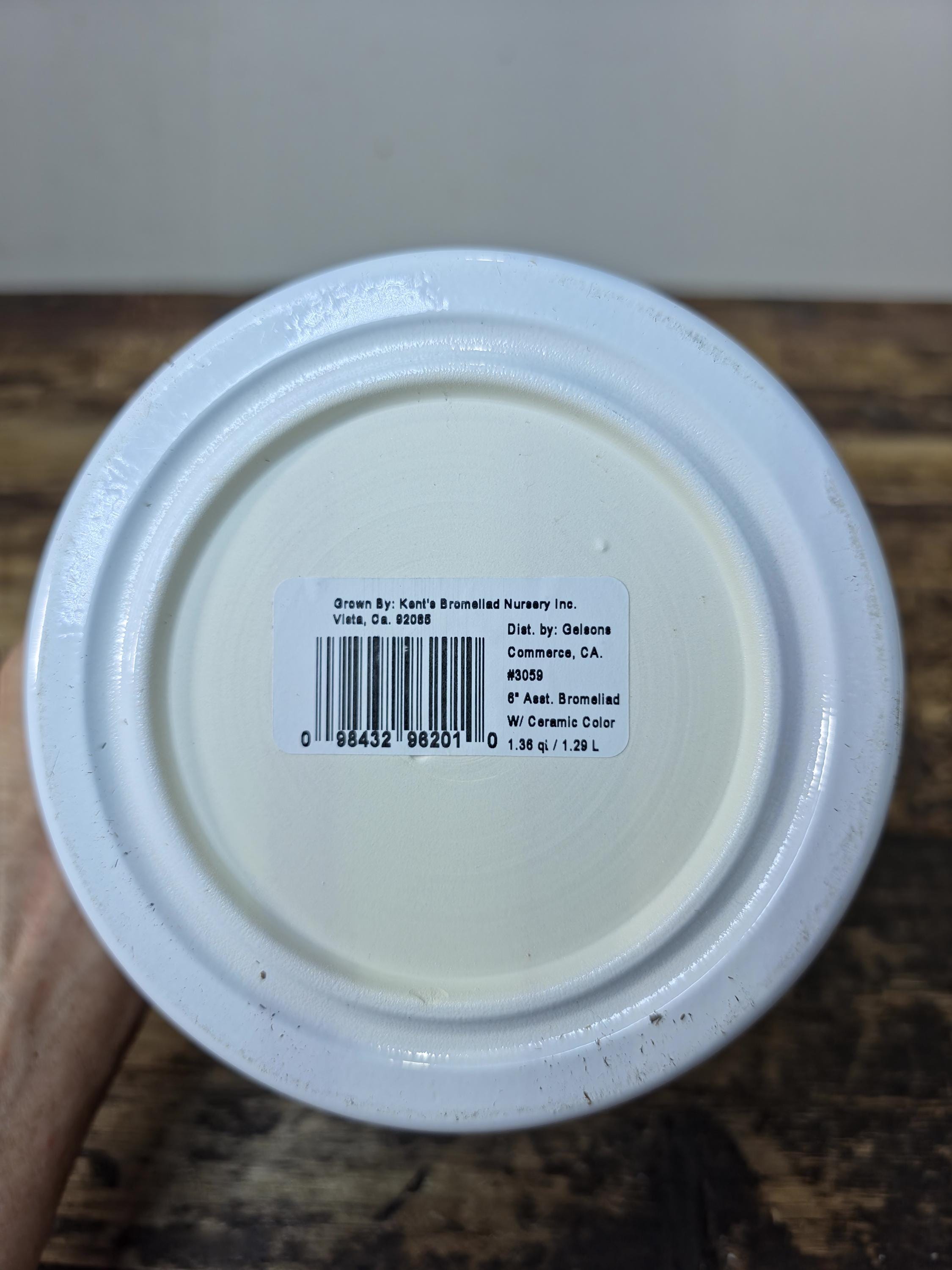German-Made White Ceramic Planter Pot – Distributed by Gelsons