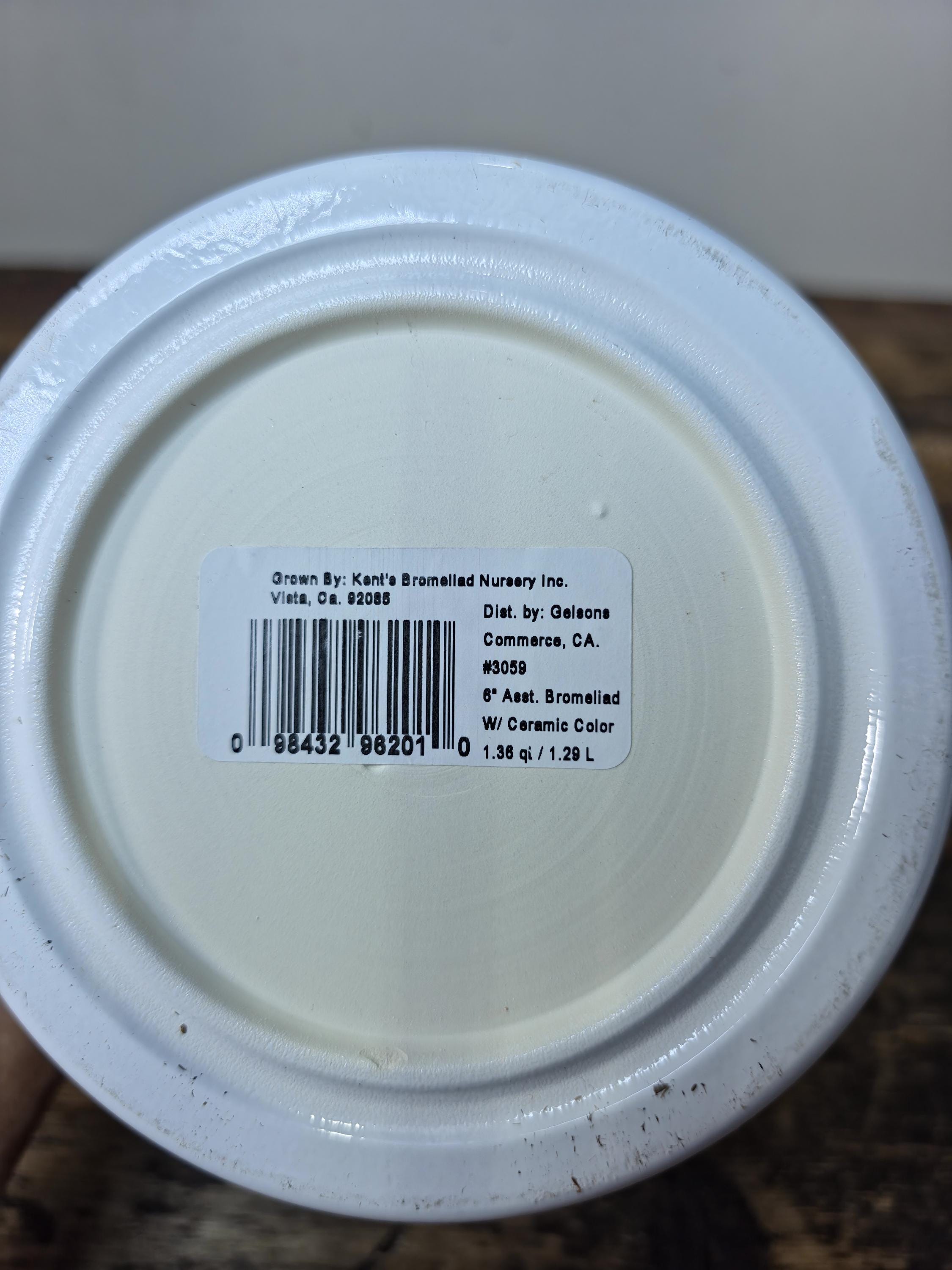 German-Made White Ceramic Planter Pot – Distributed by Gelsons