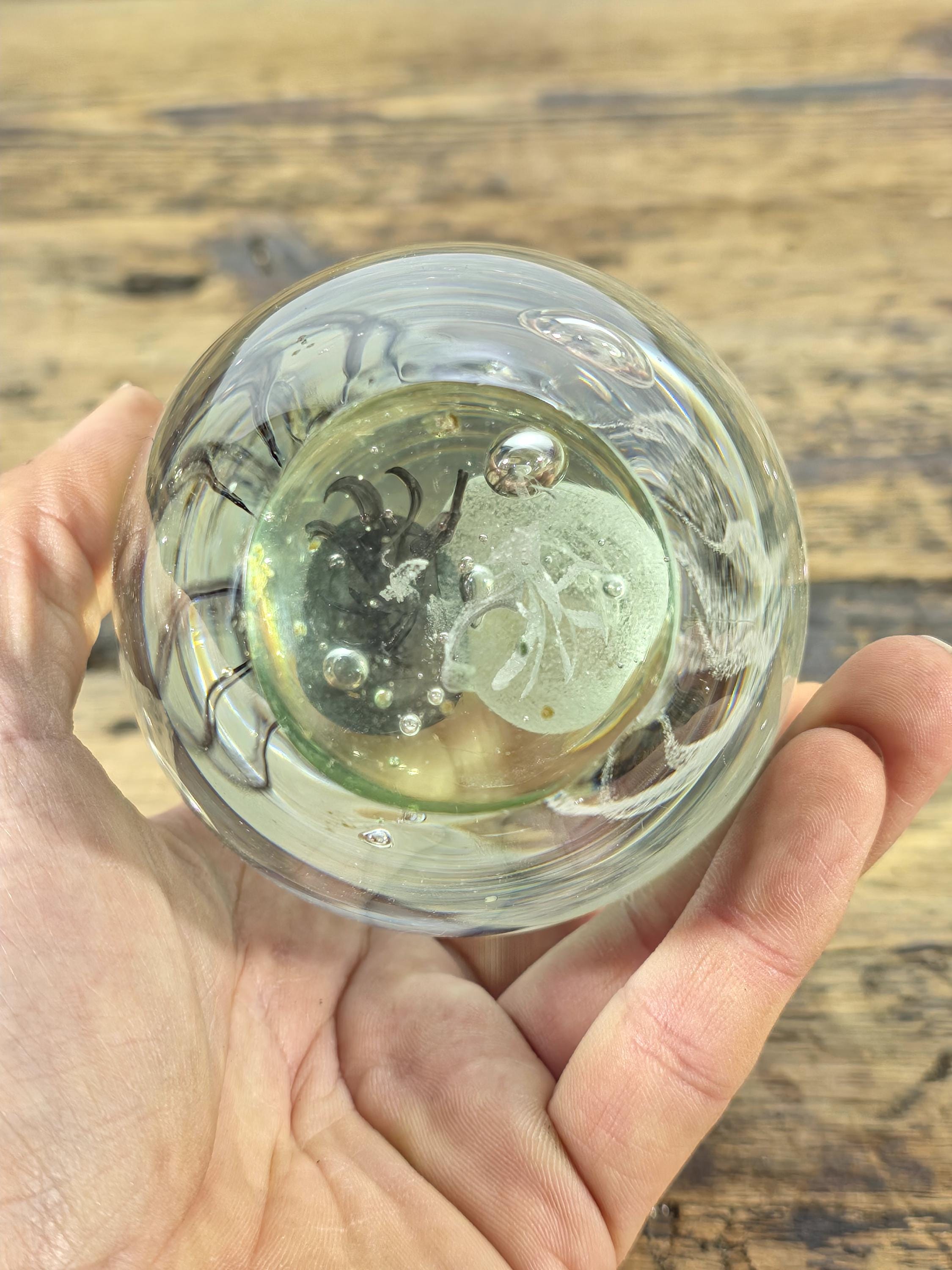 Hand-Blown Glass Jellyfish Paperweight | Clear Art Glass with Dual Jellyfish